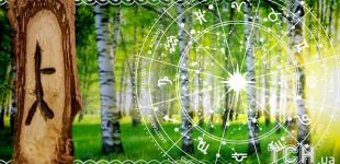 Кельтський гороскоп дерев на 30 липня 2025 року: Близнятам — ясність думок, Скорпіонам — внутрішня стійкість