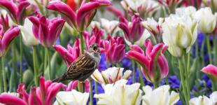 Гороскоп на 5 травня для всіх знаків зодіаку: день, коли потрібно зосередитися на особистому житті