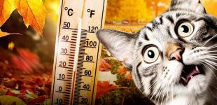 В Україні різко зміниться погода: такий прогноз шокує