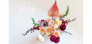 Основні кольори Нового 2024 року за східним календарем: принесуть щастя і успіх