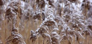 Гороскоп на 18 січня для всіх знаків зодіаку: день, який несе серйозні випробування на міцність