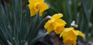 Погода в Україні: синоптикиня розповіла, коли стане прохолодніше і буде дощ