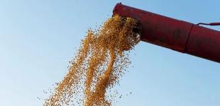 Україна торгуватиме з ЄС по-новому: обсяги експорту впадуть на 80%