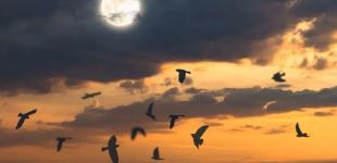 Гороскоп на 3 листопада для всіх знаків зодіаку: день, коли потрібно активно діяти