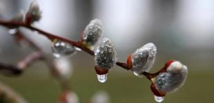 В середині березня в Україну увірвуться дощі, мокрий сніг й похолодання