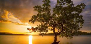 Крайній теплий день: синоптикиня зробила прогноз погоди на 23 вересня