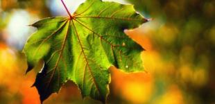 4 вересня погода в Україні помітно зміниться