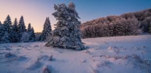 Чого чекати від погоди в наступні 2 дні: синоптикиня дала прогноз