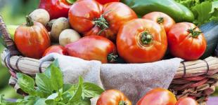 Ультраранні сорти помідорів: врожай можна збирати вже в кінці травня