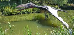 Знайдено новий вид динозаврів: де виявили рептилію та у чому її особливость