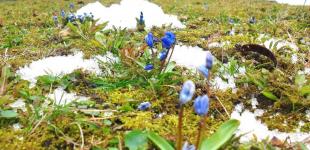 У понеділок Україні прогнозують від 6° морозу до 9° тепла