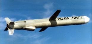 Ракети Tomahawk: авіаексперт пояснив, як зброя переломить перебіг боїв