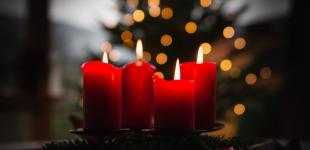 Щедрик, щедрик, щедрівочка: текст різними мовами та цікаві факти