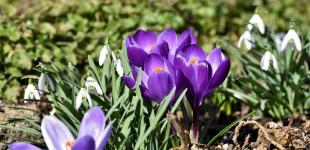 Синоптики прогнозуюють дощі в Україні: де та коли буде мокро