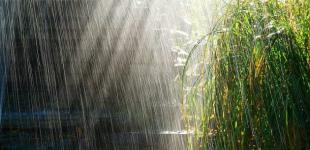 У суботу Україну прогріє до +35°, подекуди - невеликі дощі