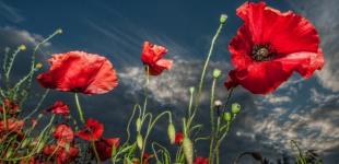 В Україні у неділю прогнозують дощі та грози, вдень до +32°