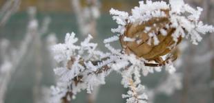 Мороз міцнішає. Синоптики дали прогноз на 24 січня