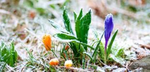 В Україні у п'ятницю буде сухо - від 9° морозу до 6° тепла