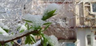 В Україні 19 січня трохи потепліє, подекуди дощ та мокрий сніг
