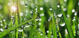 23 червня в Україні до +34° і дощі