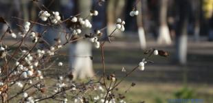 Вихідні будуть без морозів, але з опадами, вдень до +7°