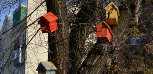 У неділю Україні прогнозують від 11° морозу до 8° тепла