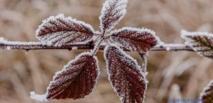 27 вересня в Україні без опадів: уночі заморозки, вдень до +17°