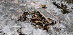 В Україні прогнозують до 6° морозу