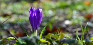 В Україні у вихідні буде тепло, але дощитиме