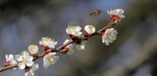 На Черкащині зафіксували температурний рекорд