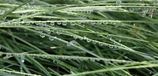 Україні у неділю прогнозують короткочасні дощі, вдень - до 29° тепла