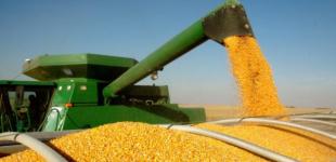 Аграрна Рада: Україна у вересні вийшла на довоєнний рівень експорту продукції