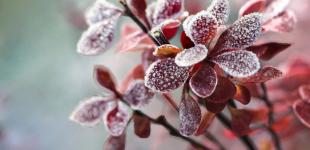 У п’ятницю прогнозують 6° морозу, подекуди дощі з мокрим снігом