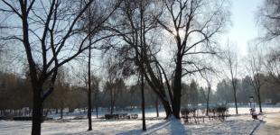 В Україні теплішає —  вдень до +7°, подекуди опади
