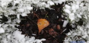 Україні у вівторок прогнозують від 6° морозу до 11° тепла