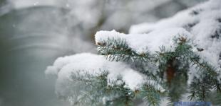 В Україні у неділю сніжитиме, вдень - до 4° тепла