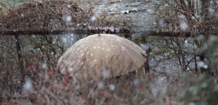 В Україні 16 лютого ймовірні незначні опади, в окремих областях туман