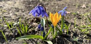 Вихідні в Україні будуть теплими, але з дощами та пиловою бурею