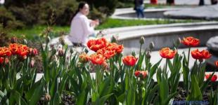 В Україні 14 квітня дощитиме лише у південно-східних областях, вдень до +20°