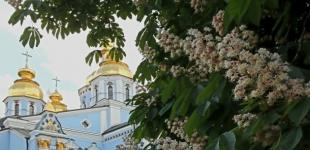 В Україні 7 червня переважно без опадів, вдень буде до +31°