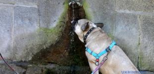 В Україні триватиме спека, місцями - короткочасні дощі