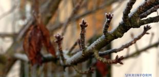 У перший день нового року прогнозують до 8° тепла