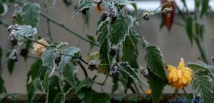 Україні у середу прогнозують дощі та мокрий сніг