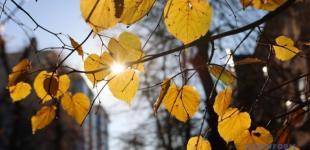 Україні у неділю прогнозують до 10° тепла, без опадів