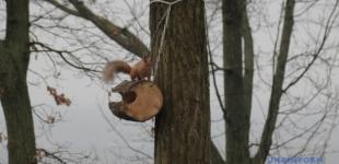 В Україні у неділю - хмарно, вдень прогріє до 9°