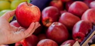 Яблука стають розкішшю? Чому ціни рекордно високі і чого чекати від нового врожаю