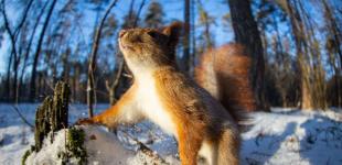 Синоптикиня попередила про різке похолодання та сніг на поточному тижні