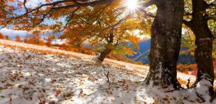 Гороскоп на 23 листопада для всіх знаків зодіаку: день, коли потрібно запускати бумеранг добра