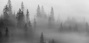 Гороскоп на 12 січня для всіх знаків зодіаку: день, коли потрібно приготуватися до дежавю-ситуацій