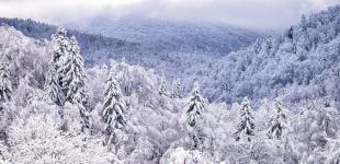 Гороскоп на 30 грудня для всіх знаків зодіаку: день темної та негативної енергетики